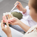 dentist holding a dental implants model